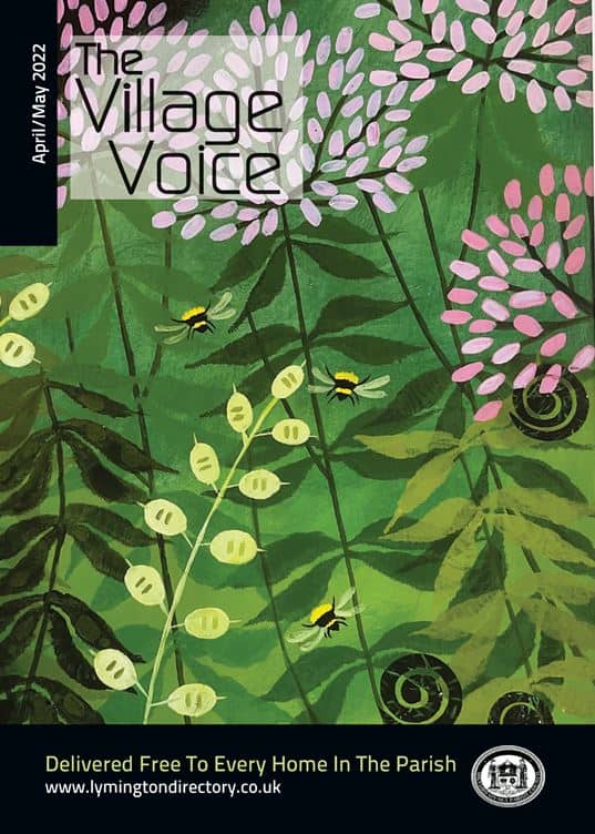 Village Voice April/May ’22