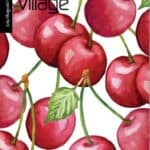 Your Village July/Aug/Sept ’24